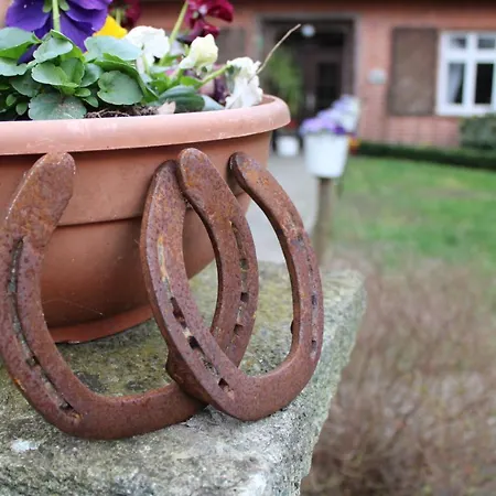 Bauernhofurlaub Bei Familie Bokeloh Ferienhaus