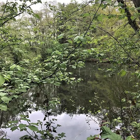 펜션 Bauernhofurlaub Bei Familie Bokeloh