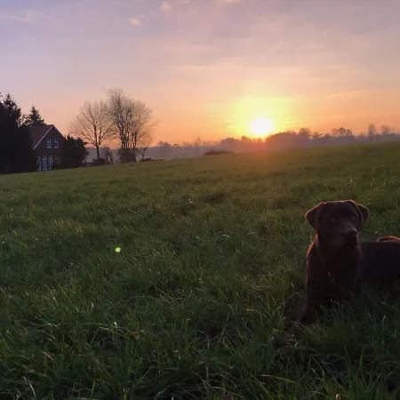 Bauernhofurlaub Bei Familie Bokeloh Kirchlinteln