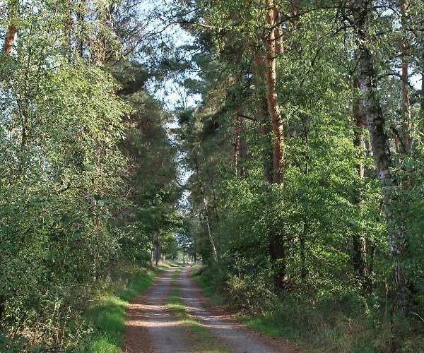 Bauernhofurlaub Bei Familie Bokeloh *