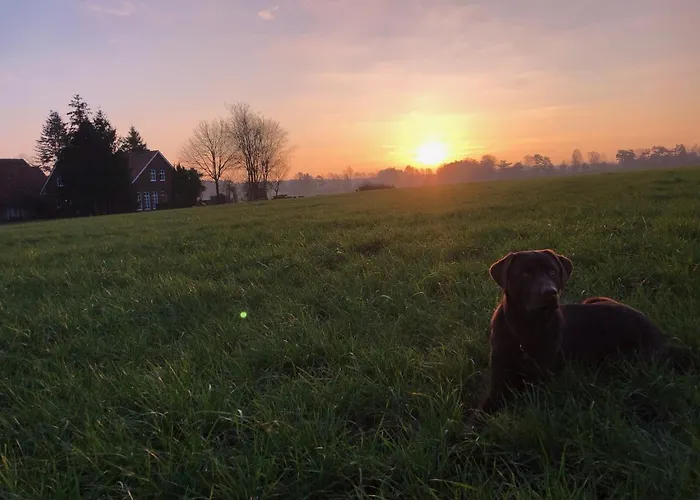 Bauernhofurlaub Bei Familie Bokeloh Kirchlinteln